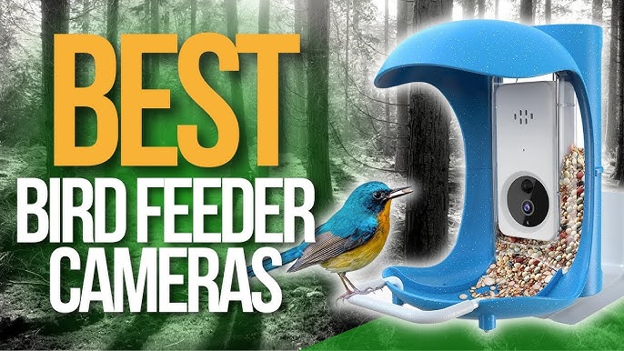 Tips for Setting Up the Bird Buddy and Mounting the Feeder Using the Wall  Mount with the APS 