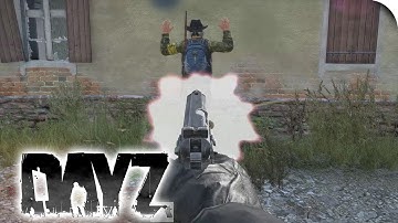 Dayz | Bug - Gun not working