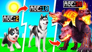 Upgrading PUPPY to GOD DOG in Dog Life Simulator!