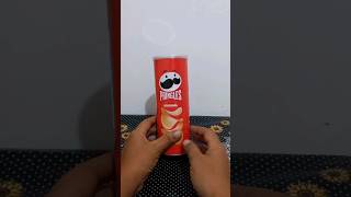 Reutilizando Lata De Batata Ideia Simples