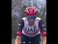 Vittoria di tappa per lo statunitense della UAE Emirates Brandon McNulty! #shorts