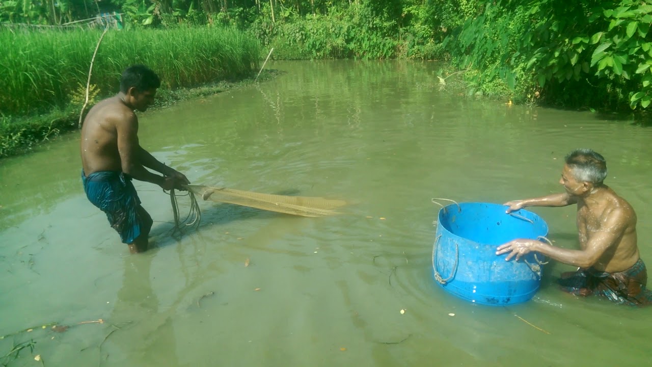 halibut fishing catching fish with cast net by fishing places near me YouTube halibut fishing catching fish with cast net by fishing places near me YouTube