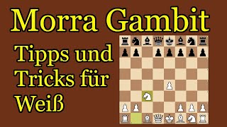 Morra Gambit gegen Sizilianisch || Einsteiger Guide für Weiß screenshot 3