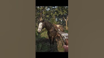 Micah will say this if Arthur kills his horse