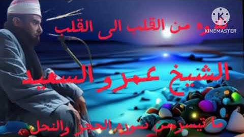القارئ الشيخ عمرو السعيد القارئ بجمهورية مصر العربية ما تيسر من سوره الحجر والنحل جواب رائع
