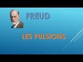 Freud  les pulsions