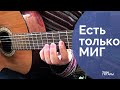 Есть только миг | разбор песен БЕЗ БАРРЭ| MoscowGuitar