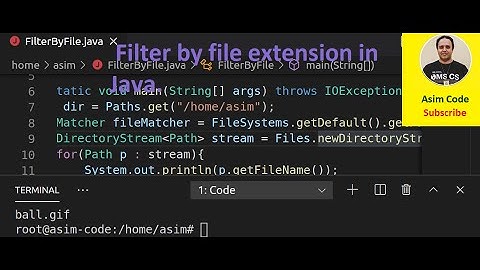 Filter by file extension in Java