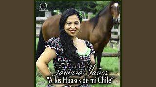 Video thumbnail of "Tamara Yañez - Poncho al hombro"