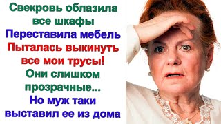 картинка: Погляди на невестку, цаца какая! Чего она наготовит? Она поди готовит раз в неделю. Шептала свекровь