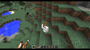 Minecraft Plugin: How to use Horse Stats & Portable Horses Plugin