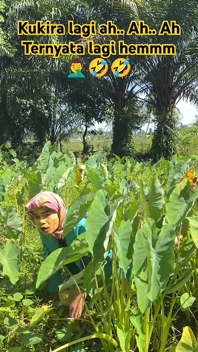 ngintip tetangga lagi hemm..hemm#ngintip#trending #viraltiktok #viralvideo #trend #tranding #wkwkwk