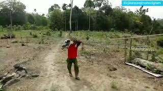 Download Lagu Video Lucu Anak Tanjung Iman BSA 11 MP3