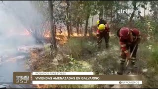 Decretan Alerta Amarilla en Galvarino por incendios forestales | ARAUCANÍA 360°