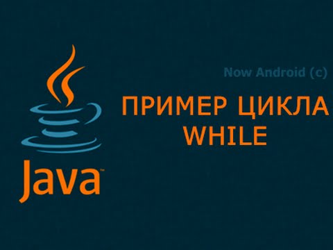 Пример цикла while на Java