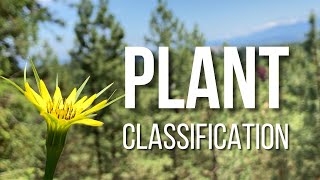 Plant Classification (Not Boring)