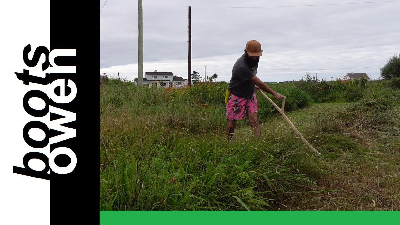 Scything a wildflower meadow with Austrian Scythe