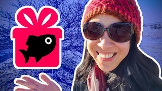 10 Best Gift Ideas for Aquarium Keepers