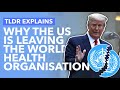 The US are Leaving the World Health Organisation: What That Means in Reality - TLDR News