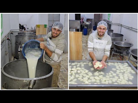 طريقة تصنيع الجبنة البيضاء من قلب المصانع هتعملي أحلي جبنة بيضاء من غير تعب ولا مجهود