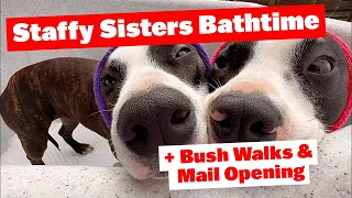 Bush Walks | Luke’s Dad Leaves | Mail Opening | Staffy Sisters Bathtime