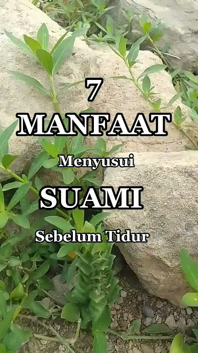 Berikut 7 manfaat menyusui suami sebelum Tidur #shortviral #fypシ゚viral