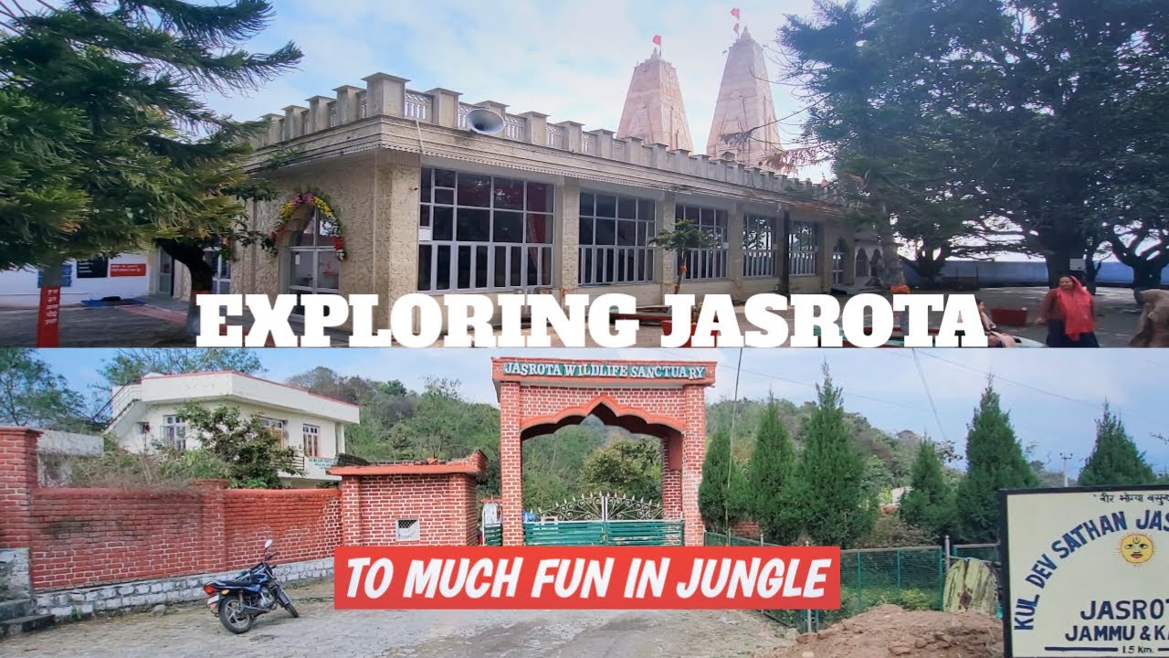 jastrota temple || Maa kali mandir Jasrota || Historic Jasrota fort | wildlife sanctuary #templevlog