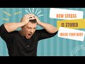 How stress is stored inside your body