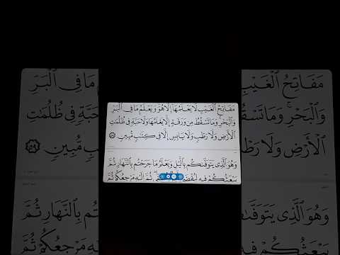 تطبيق المصحف المتحرك تلقائي