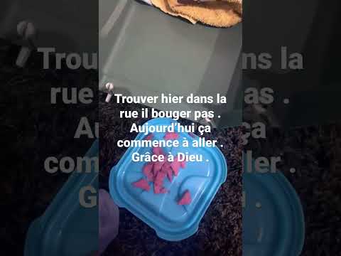 Hier il bouger