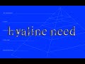 [08] ‘hyaline need’ feat.鏡音レン【オリジナル】