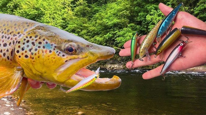 BEST Trout Lures & Soft Plastics  Technique, Cost, Colours & Sizes 