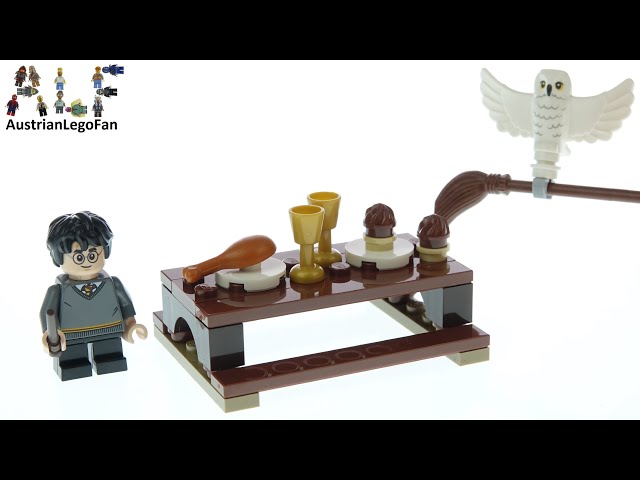LEGO 30420 Harry Potter and Hedwig