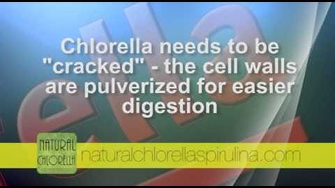 Chlorella