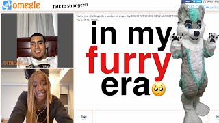 i went on omegle in a furry costume.