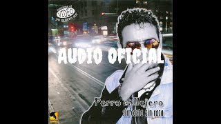 Perro Callejero - Tú (audio oficial) chords