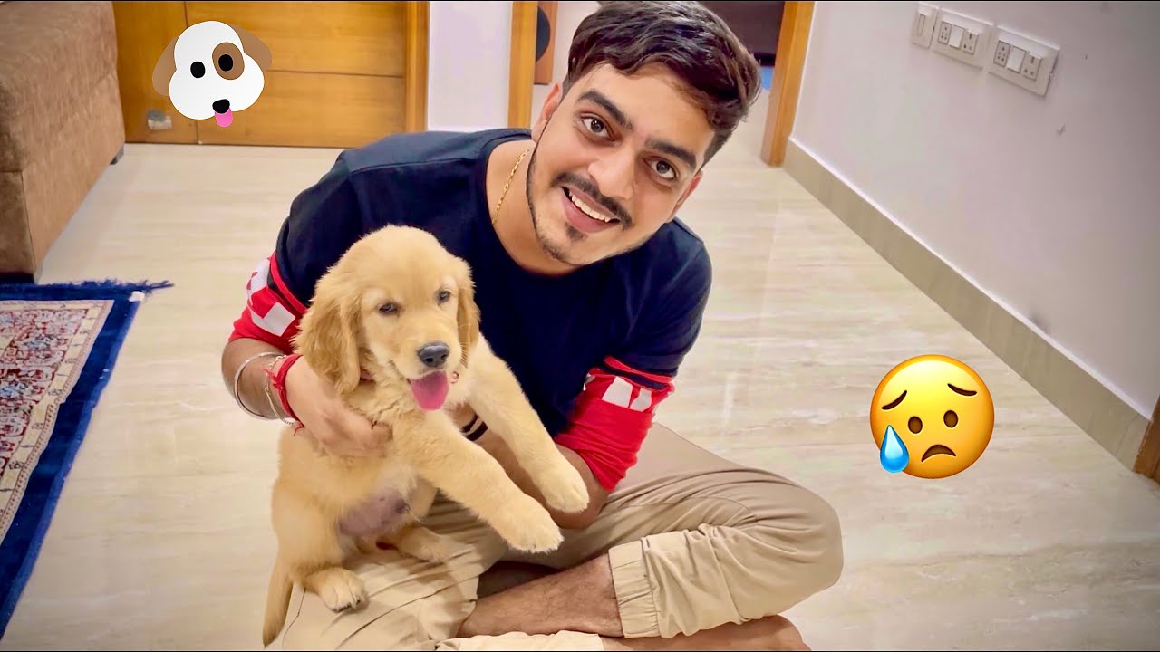 Pura Din Kharab kar Diya 😢😖- Rachit Rojha Vlogs