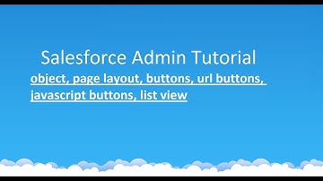 salesforce admin: objects, page layout, buttons, url buttons, javascript buttons, list view