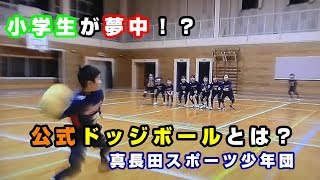 公式ドッジボールとは？