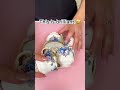 This Tea Cup Storage Hack is GENIUS 😳☕