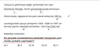 2025 Hiz Ve Renk Türkçe