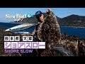 ショアスロー×スローブラットキャストUP! 沼田純一のショアスロー