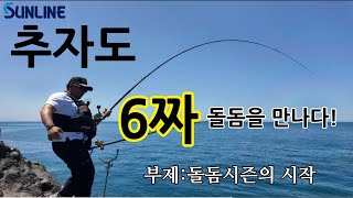 [대물던질낚시 37편] 4K 추자군도에서 6짜돌돔을 만나다!