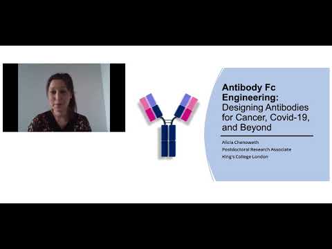 Antibody Fc Engineering: Designing Antibodies for Cancer, Covid-19, and Beyond