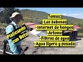 PLATICANDO con BETO - INTERNET de HONGOS - ARLOMO - FILTROS de AGUA - AGUA LIGERA y PESADA