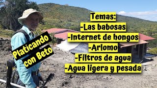 PLATICANDO con BETO - INTERNET de HONGOS - ARLOMO - FILTROS de AGUA - AGUA LIGERA y PESADA