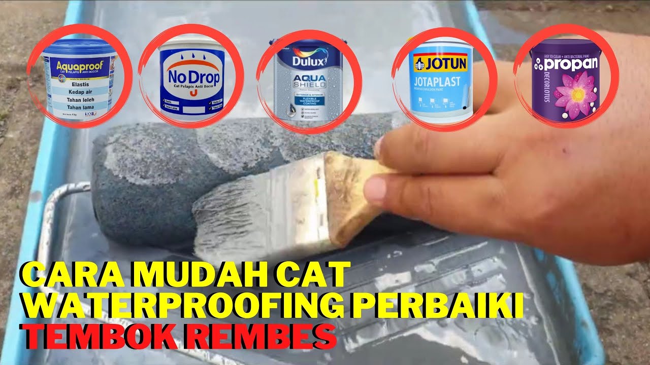 Cara Mudah Cat Waterproofing Perbaiki Tembok Rembes YouTube