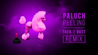 Watch Paluch Peeling feat DJ Taek video