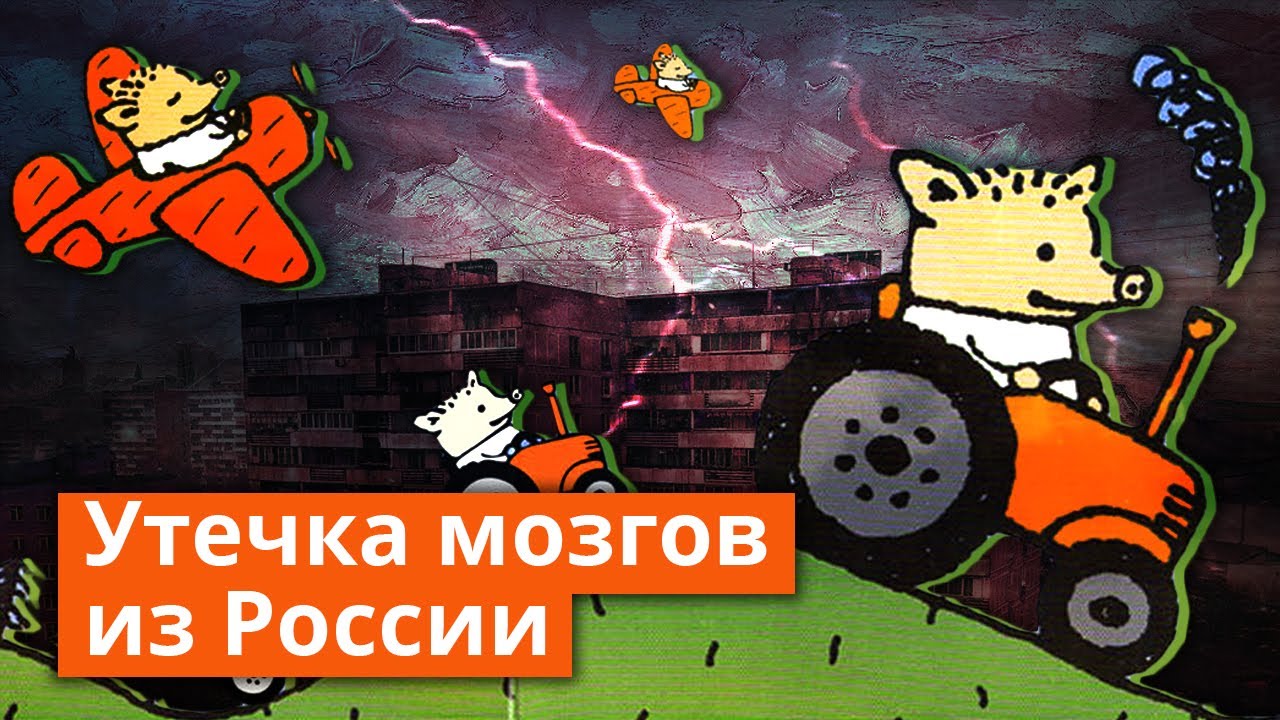 Мозги на волгу