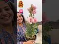 Sabse Sundar Flowers | Lisianthus (Nanadini) hai Best Summer Flower ☀️🌸